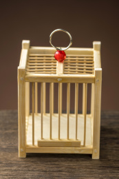 竹制鸣虫虫具蝈蝈笼子摆放在桌面上特写