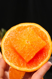 深底上的青见柑橘