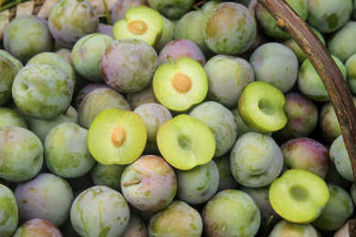 新鲜现摘的五月脆