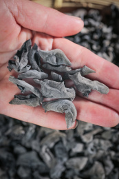 木底上的小碗耳