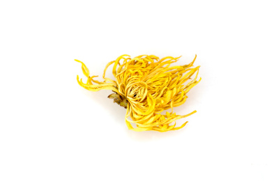 白色背景上的干菊花,Dry Chrysa