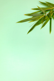竹叶绿色背景