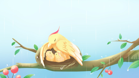 鸟妈妈用翅膀给小鸟们遮雨，手绘母爱插画