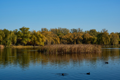 秋日里的北京圆明园遗址公园自然风光