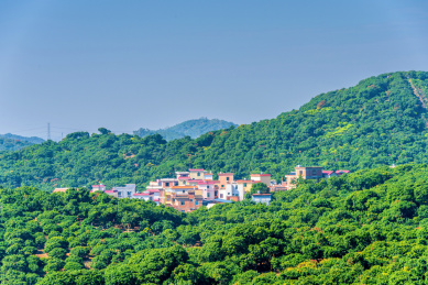 中国广东茂名高州红荔阁远眺风光
