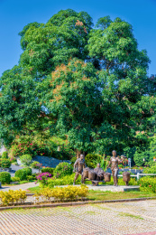 中国广东茂名高州桥头根子河碧道景观