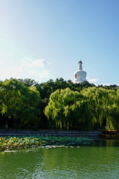 初秋时节的北京北海公园琼岛白塔