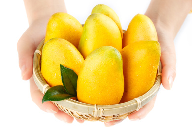 手拿一筐小台芒