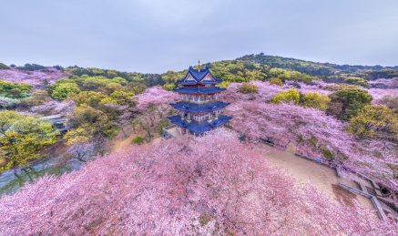 江苏省无锡市鼋头渚
