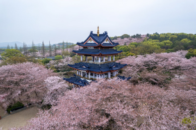 江苏省无锡市鼋头渚