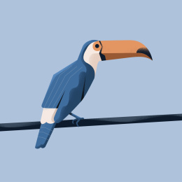 大嘴鸟 扁平插画