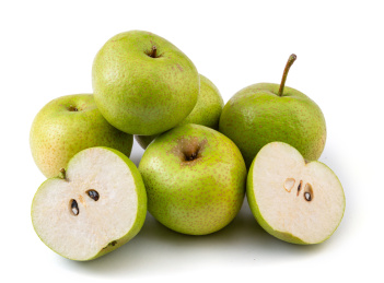 天津蓟县酸梨大果白底图