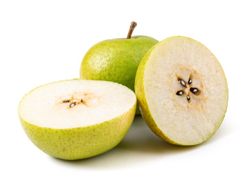 天津蓟县酸梨大果白底图