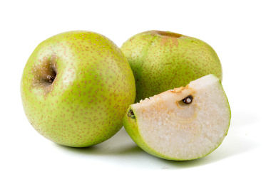 天津蓟县酸梨大果白底图