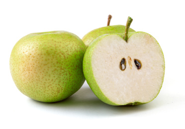 天津蓟县酸梨大果白底图