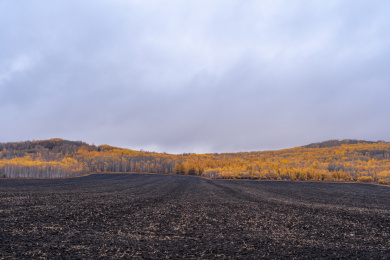 内蒙古呼伦贝尔草原卡线沿途秋天自然风景