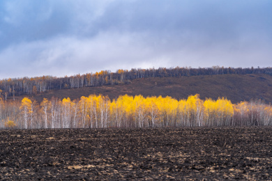 内蒙古呼伦贝尔草原卡线沿途秋天自然风景