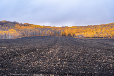 内蒙古呼伦贝尔草原卡线沿途秋天自然风景