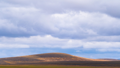 内蒙古呼伦贝尔草原卡线沿途秋天自然风景