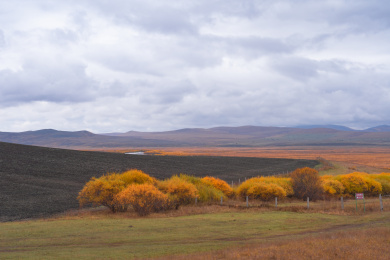 内蒙古呼伦贝尔草原卡线沿途秋天自然风景