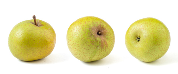 天津蓟县酸梨大果