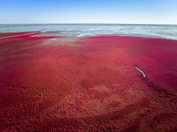 辽宁省盘锦市红海滩景区航拍图片