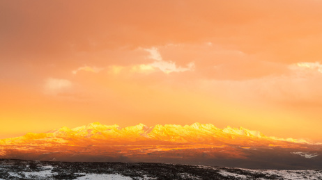 中国四川甘孜康定鱼子西