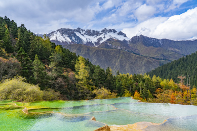 四川松潘县黄龙景区雪山下秋天钙华彩池