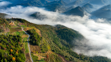 重庆酉阳：盘山路连农家，雾中美如画 