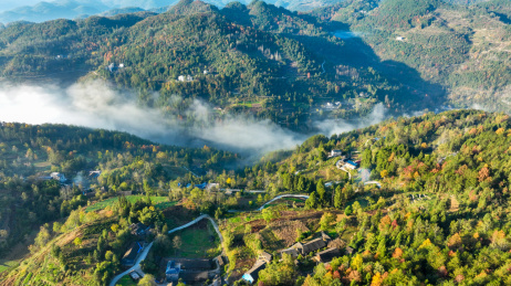 重庆酉阳：盘山路连农家，雾中美如画 