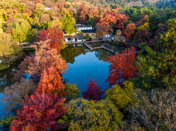 中国江苏苏州天平山枫叶红