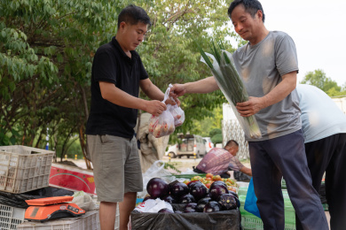 商贩在市场上卖菜