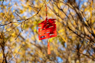 悬挂在树枝上的囍字