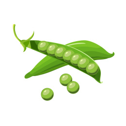 矢量青豆
