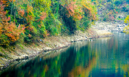 重庆酉阳：乡村初冬清晨风光祥和