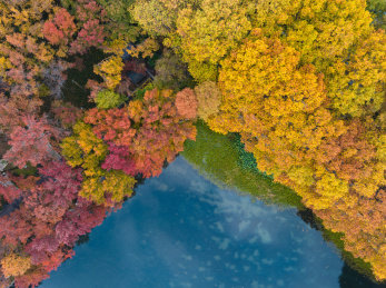 武汉东湖风景区深秋风光
