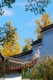 湖南大学岳麓书院