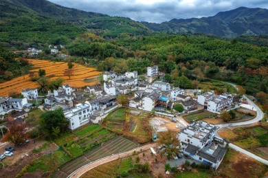 航拍杭州金融中心背景图