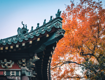 河南洛阳龙门石窟:香山寺秋景