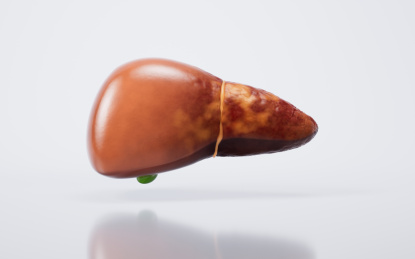 脂肪肝与生物医学3D渲染