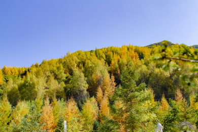 渭河源山谷秋色