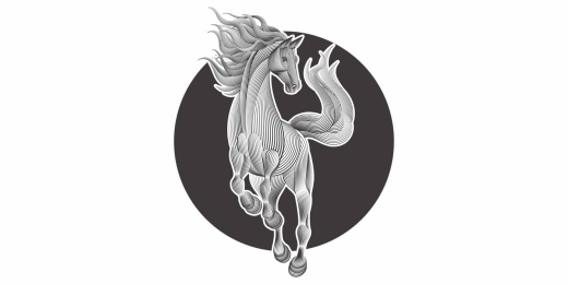 马黑白矢量插图