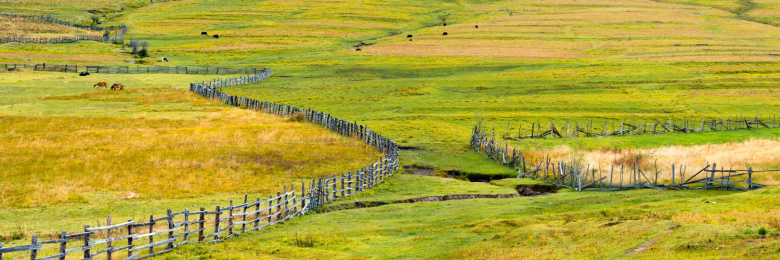 中国西藏林芝市鲁朗小镇高山牧场草原风景