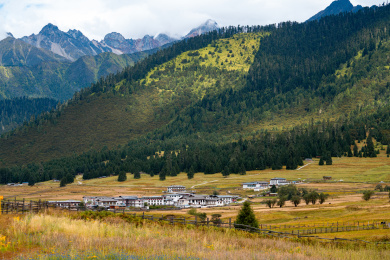 中国西藏林芝市鲁朗小镇高山牧场草原风景