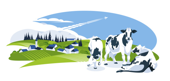 村庄边上天然牧场的奶牛