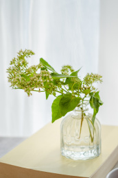 一瓶鲜花放在窗前