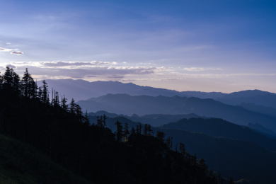 中国陕西秦岭汉中佛坪药子梁夏季高山草甸风