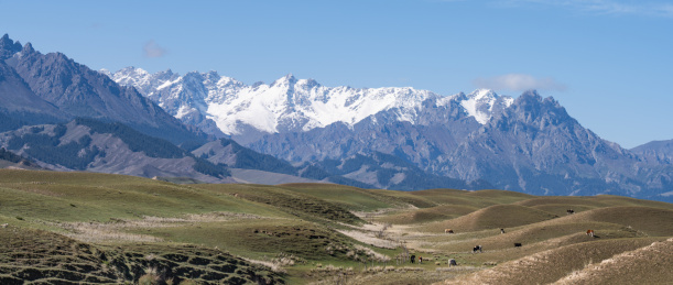 中国新疆s101省道旁的天山山脉风光