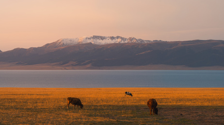 中国新疆赛里木湖风光