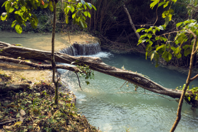 老挝朗布拉邦湿地公园